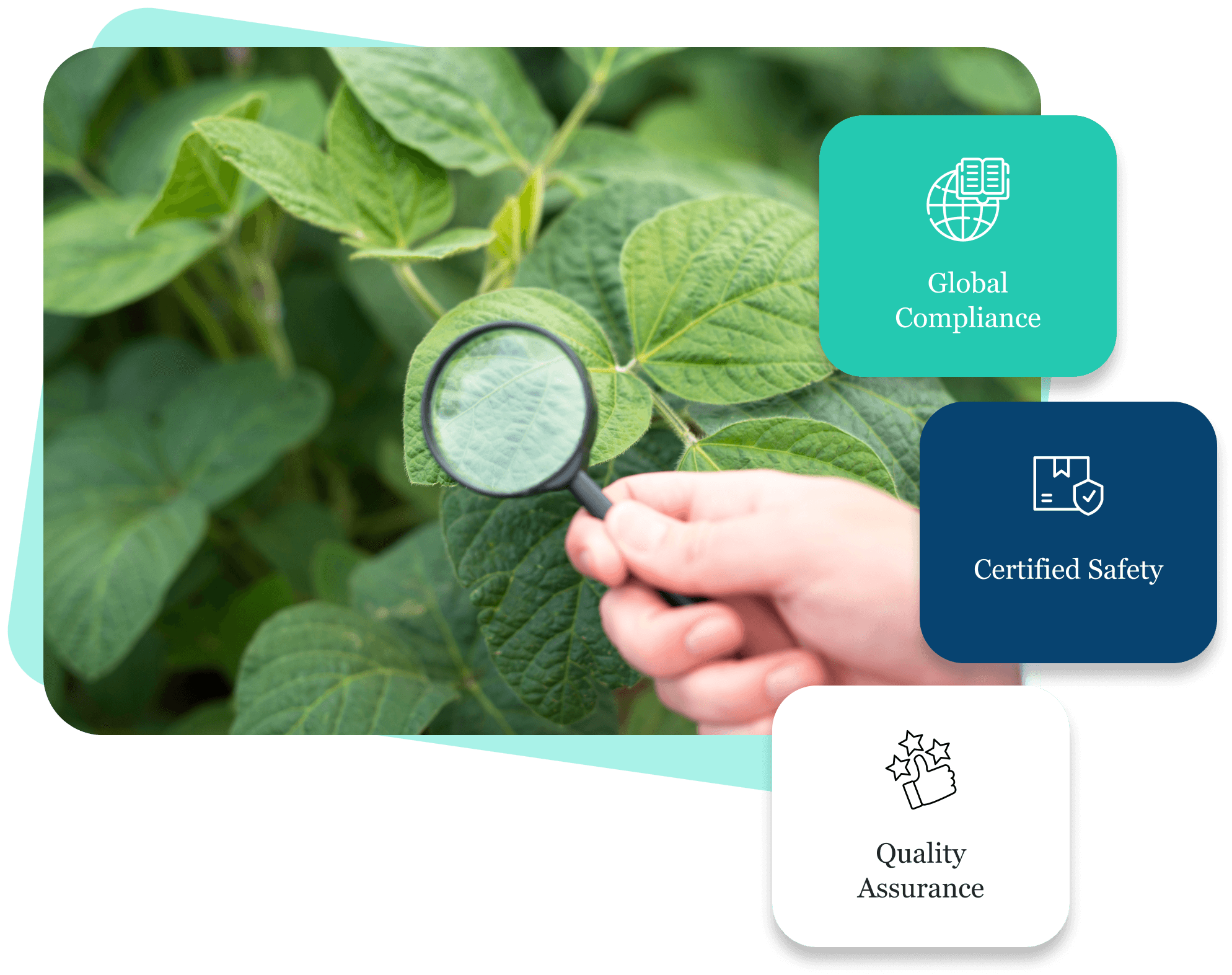 Adherence to Global Standards