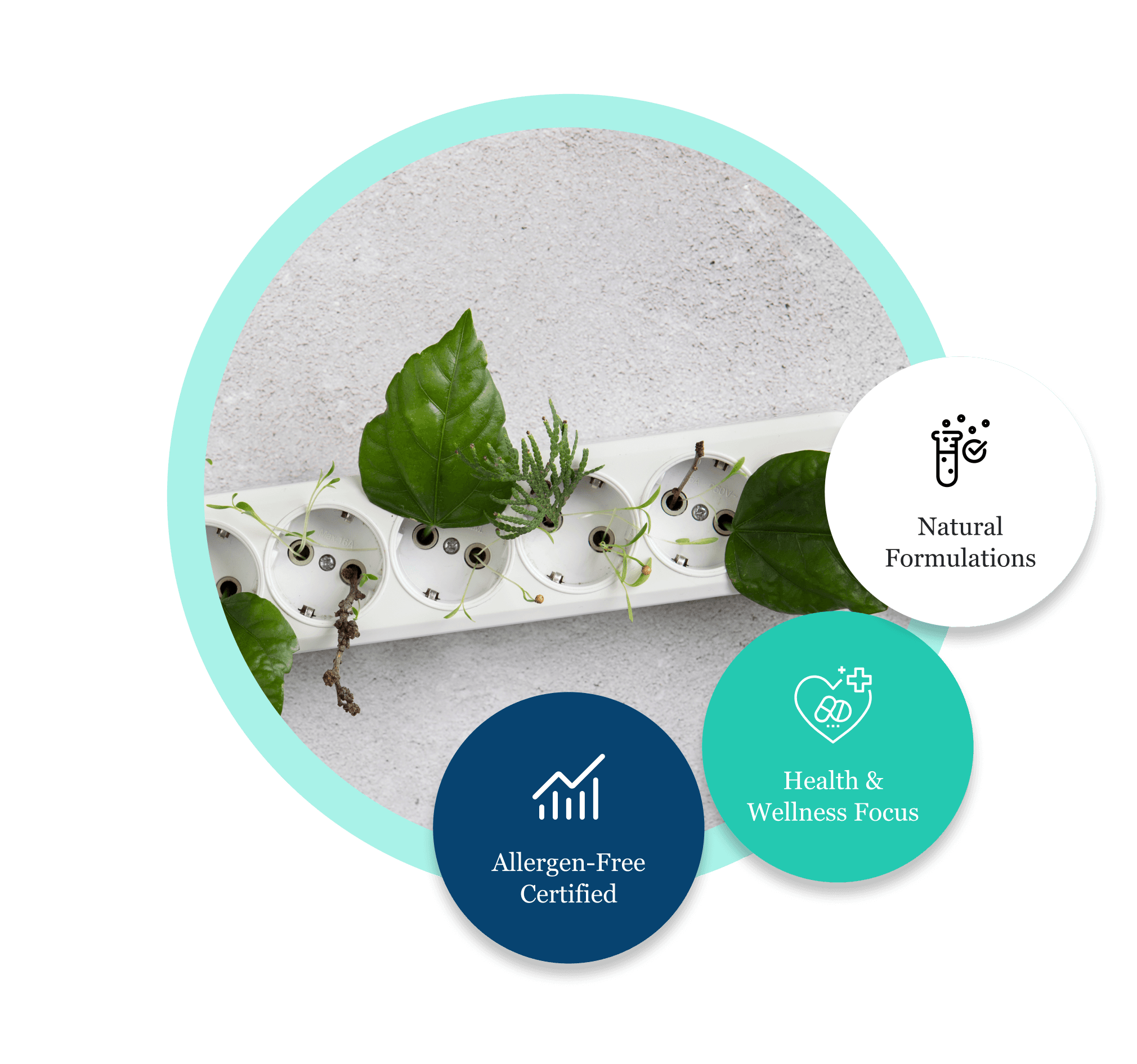 Commitment to Green Chemistry