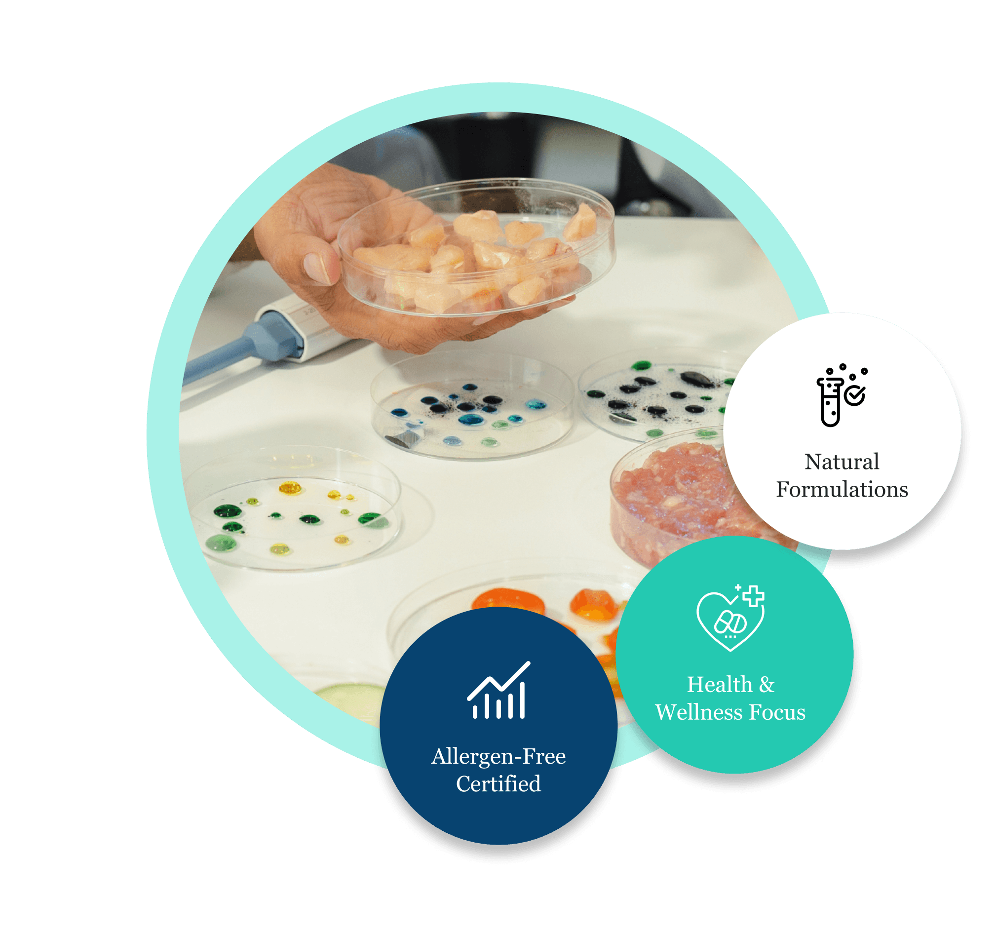 Collaborative R&D Support