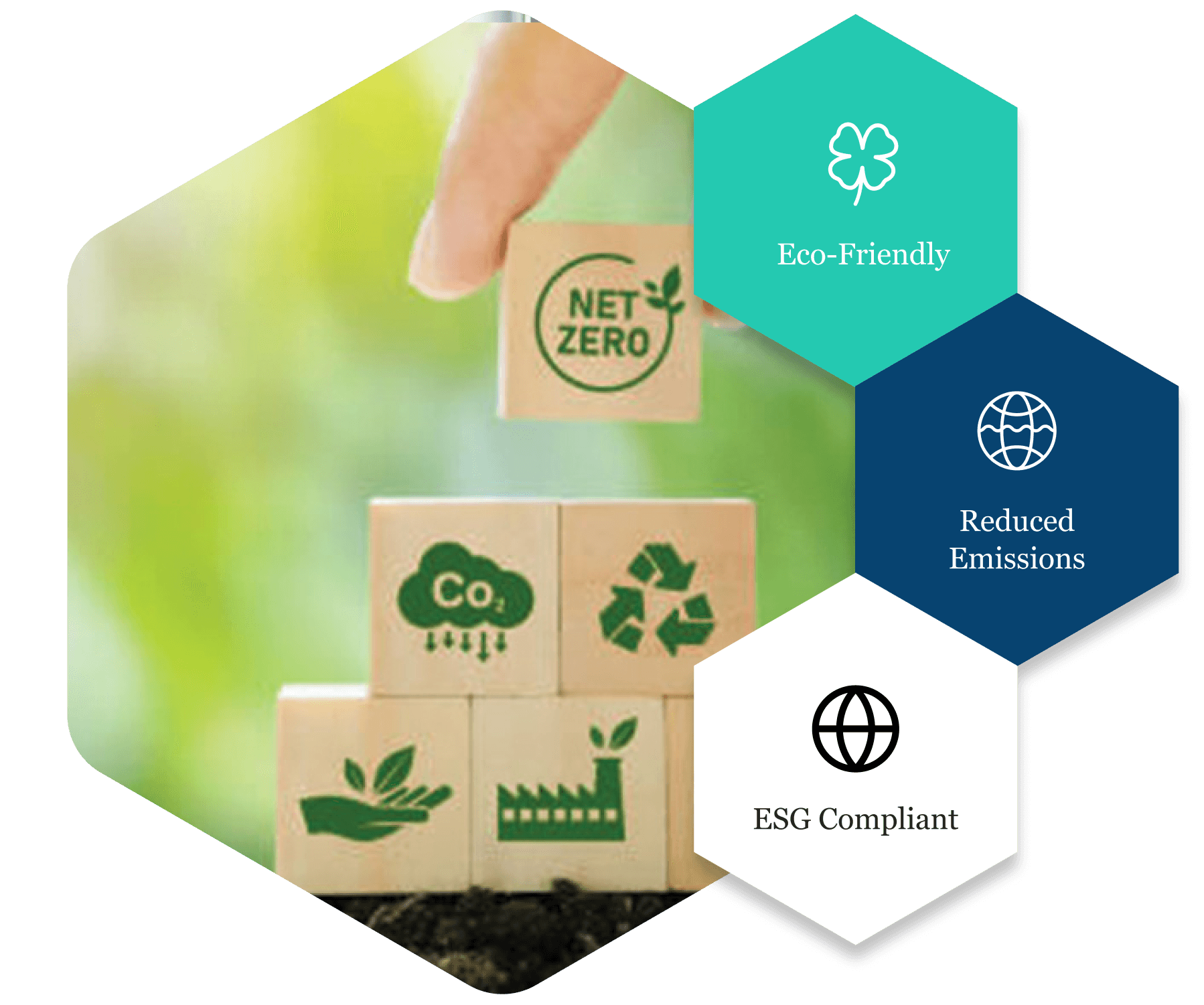 Eco-Friendly Practices