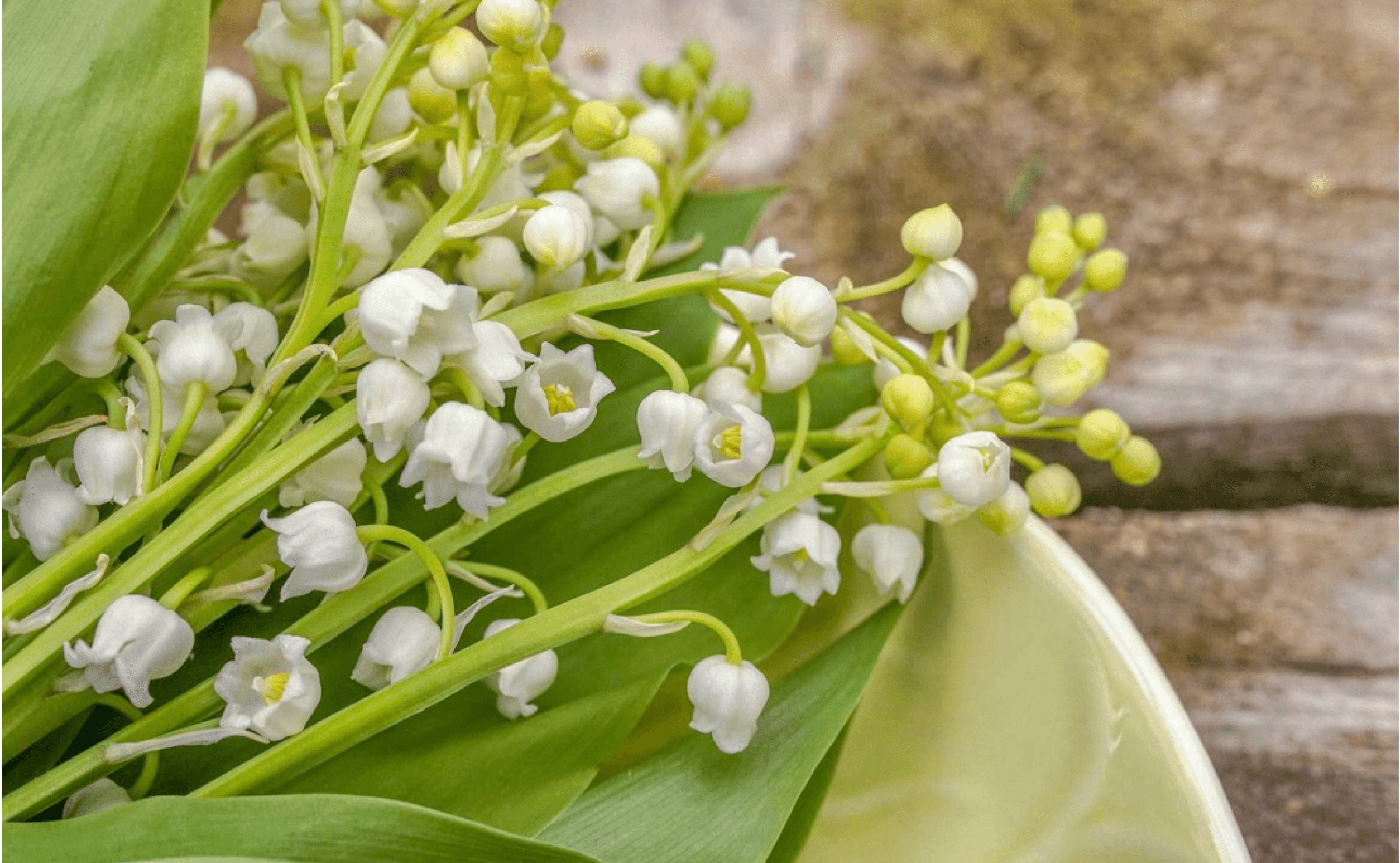 Muguet Carbinol