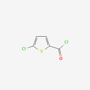 5-Chlorothiophene-2-carbonyl chloride