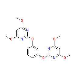 Bispyribac Sodium 10% SC