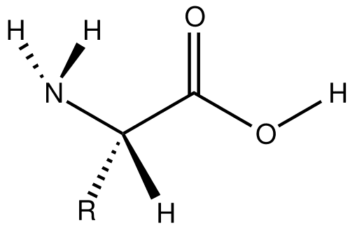 Compound Amino Acid 80% / Fulvic acid