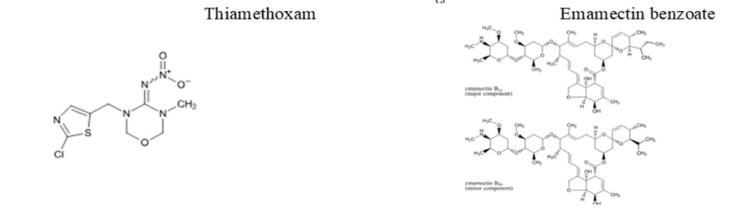 Emamectin Benzoate 3% + Thiamethoxam 12% WG