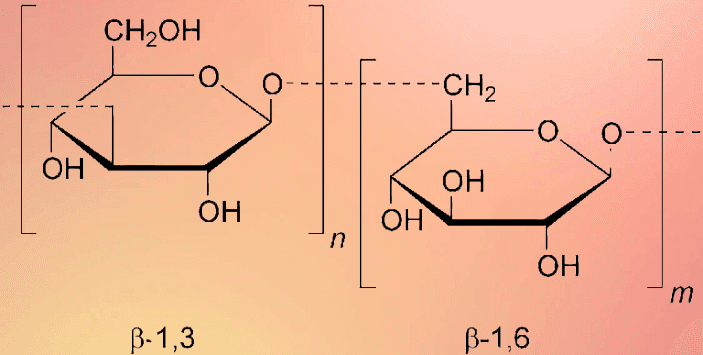 Ascophyllum nodosum (Seaweed Extract)