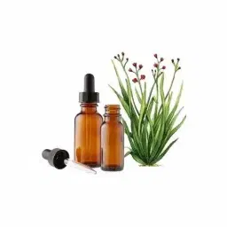 Vetiver Oil