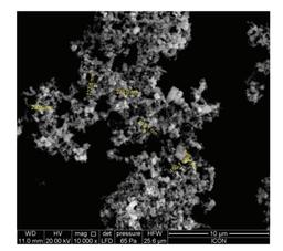 ZC THRU MCT - Sunscreen Additive