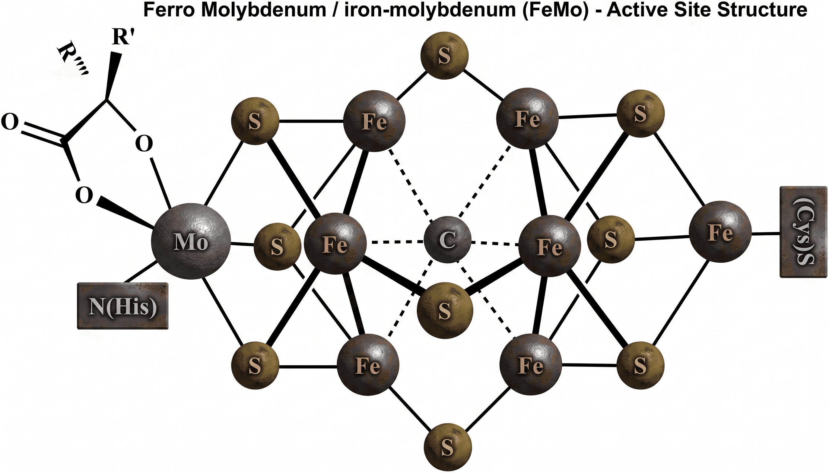Ferromolybdenum