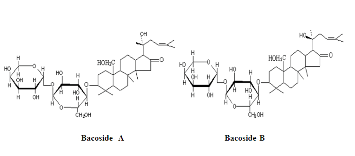 Bacopa monnieri extract