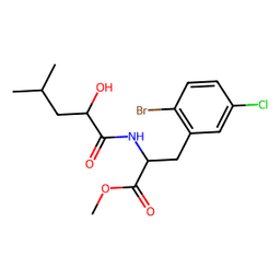 Garcinia Cambogia Extract (Garcinia gummi-gutta)