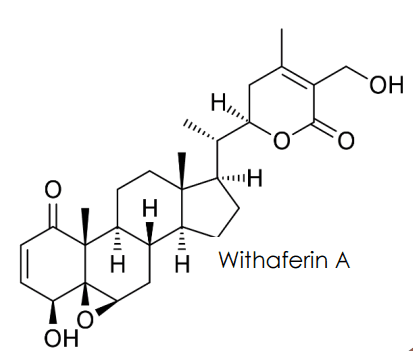 Ashwagandha Root Extract (Withania somnifera) 5.0%