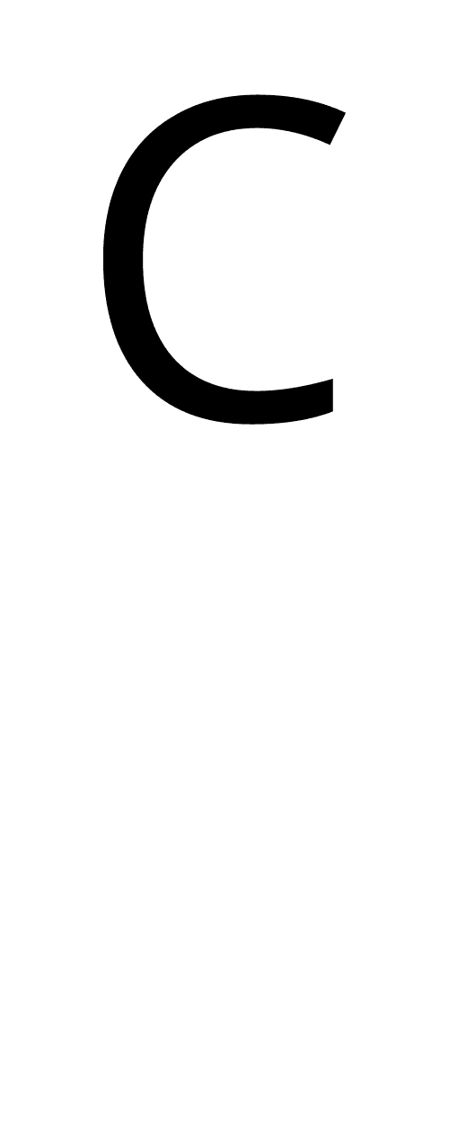 Activated Carbon Coconut Shell