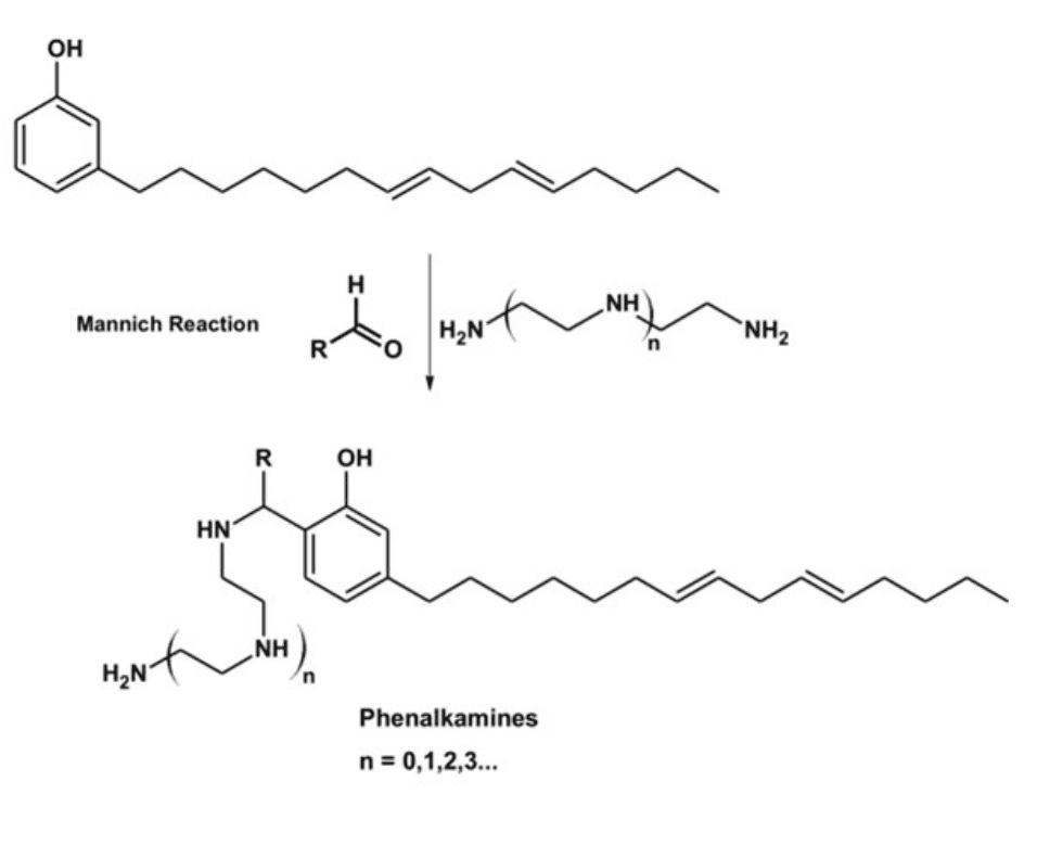 Phenalkamide