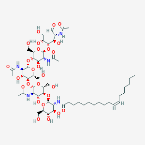 Lipo-chito oligosaccharides