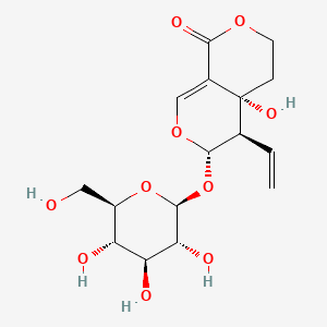 Ginger Root Extract
