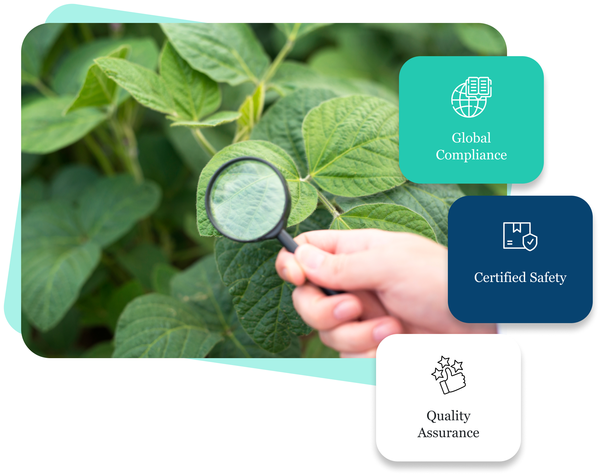 100% Regulatory Compliance