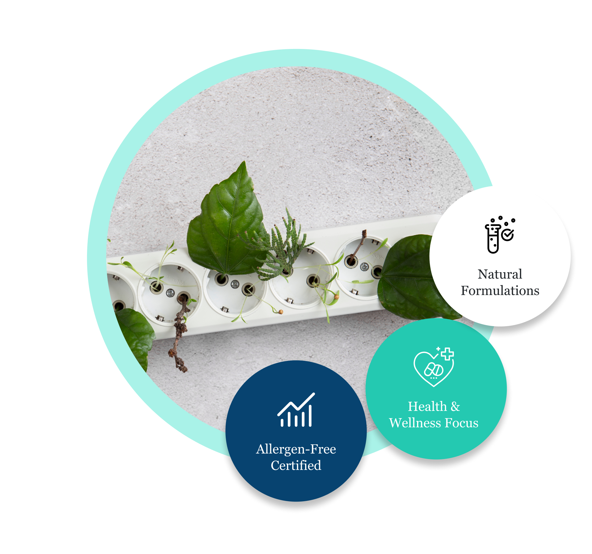 Focusing on Sustainability