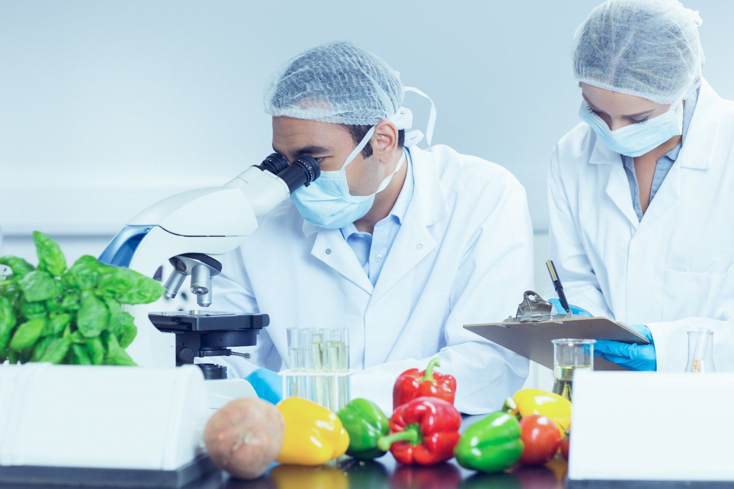 Food & Nutrition