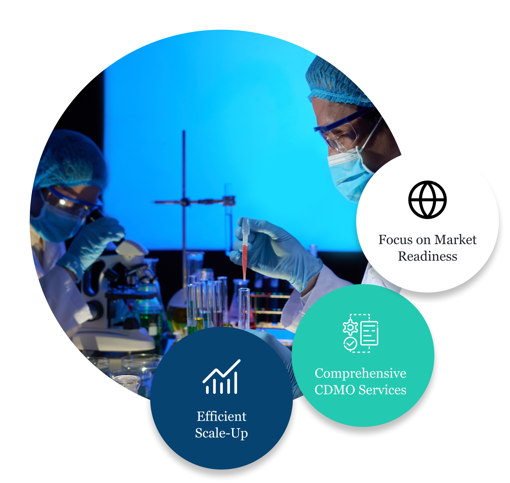 In-house Research Facilities