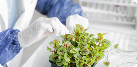 Agrochemicals